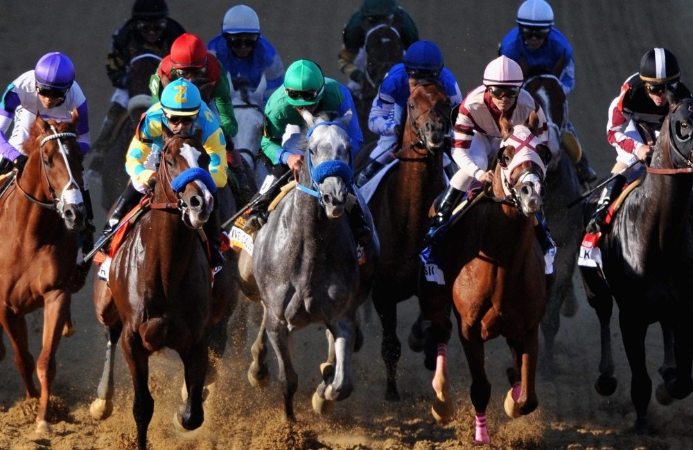 2023 Belmont Stakes Packages