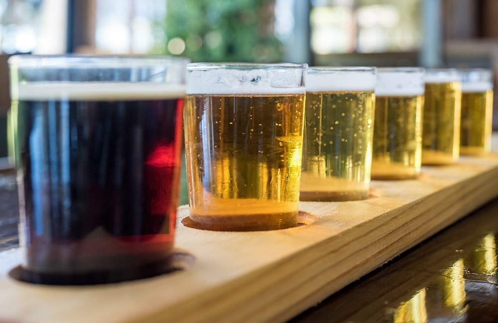 Beer Enthusiasts 9 Day River Cruise of Germany & France