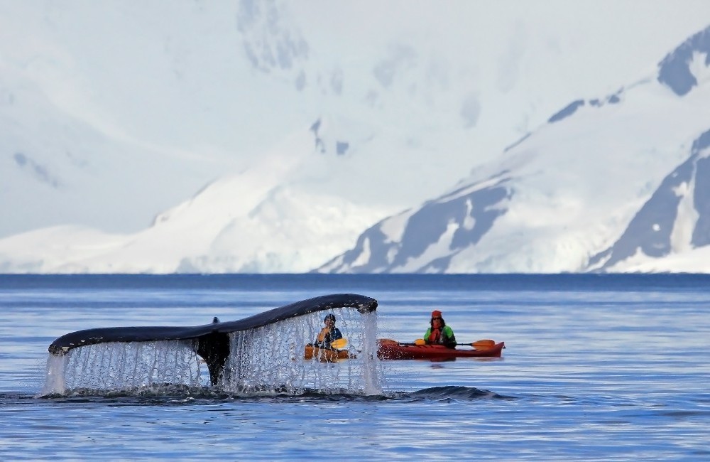  Antarctica Cruise onboard Silver Cloud 