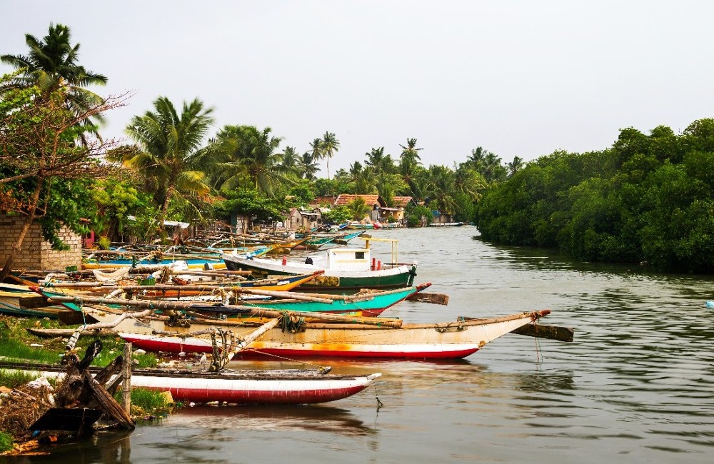 Sri Lanka Real Food Adventure