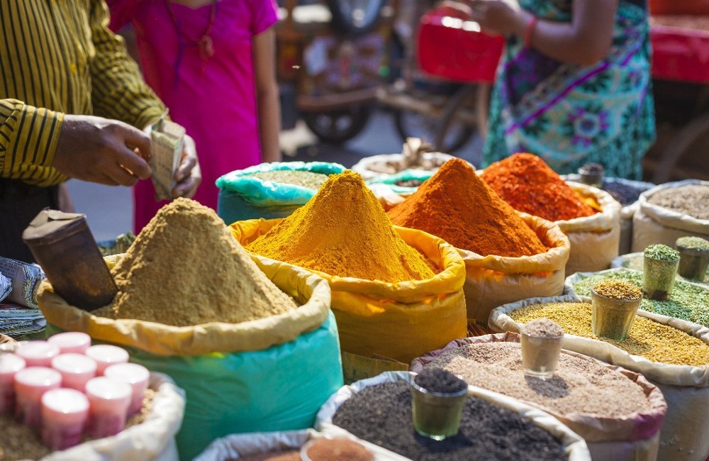  India: Splendours of Delhi, The Taj Mahal & Rajasthan 