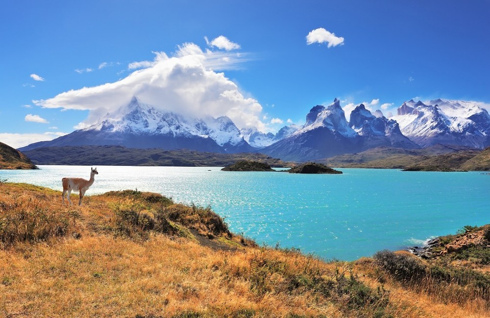 TEFL-Argentina Internship
