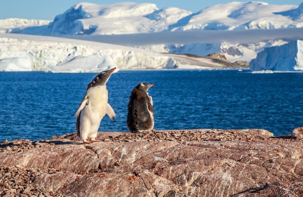  Antarctica Cruise onboard Silver Cloud 