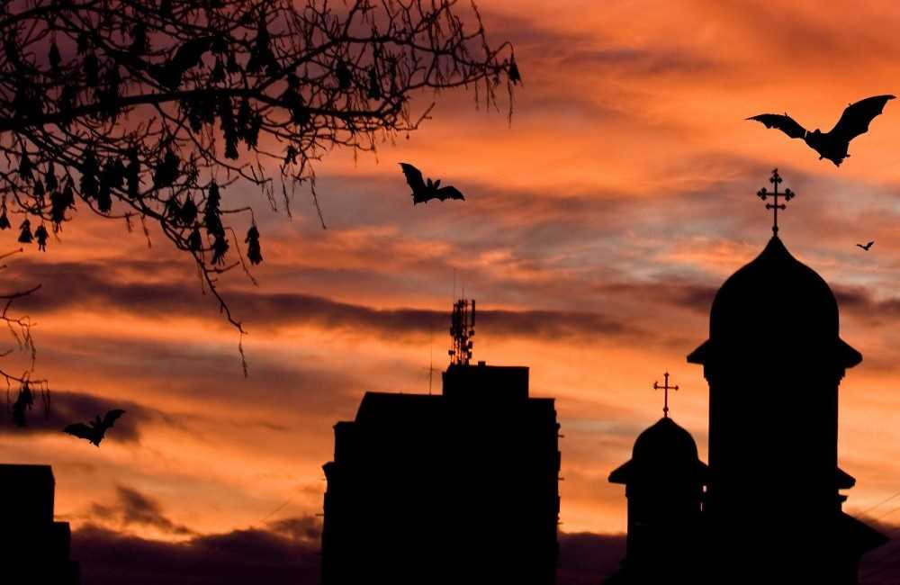 Family Mid Term Break: Halloween in Transylvania