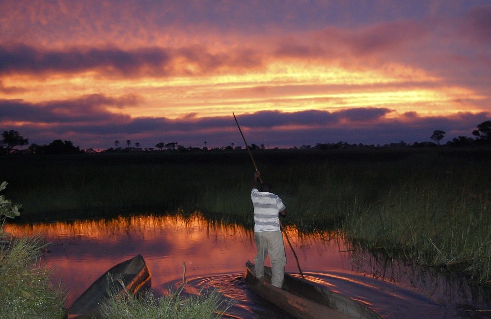 Okavango Delta Experience Tour 