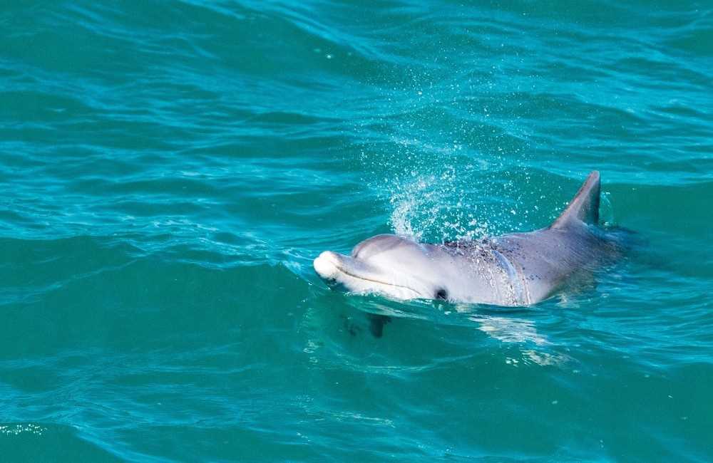  Indian Ocean Drive Perth 