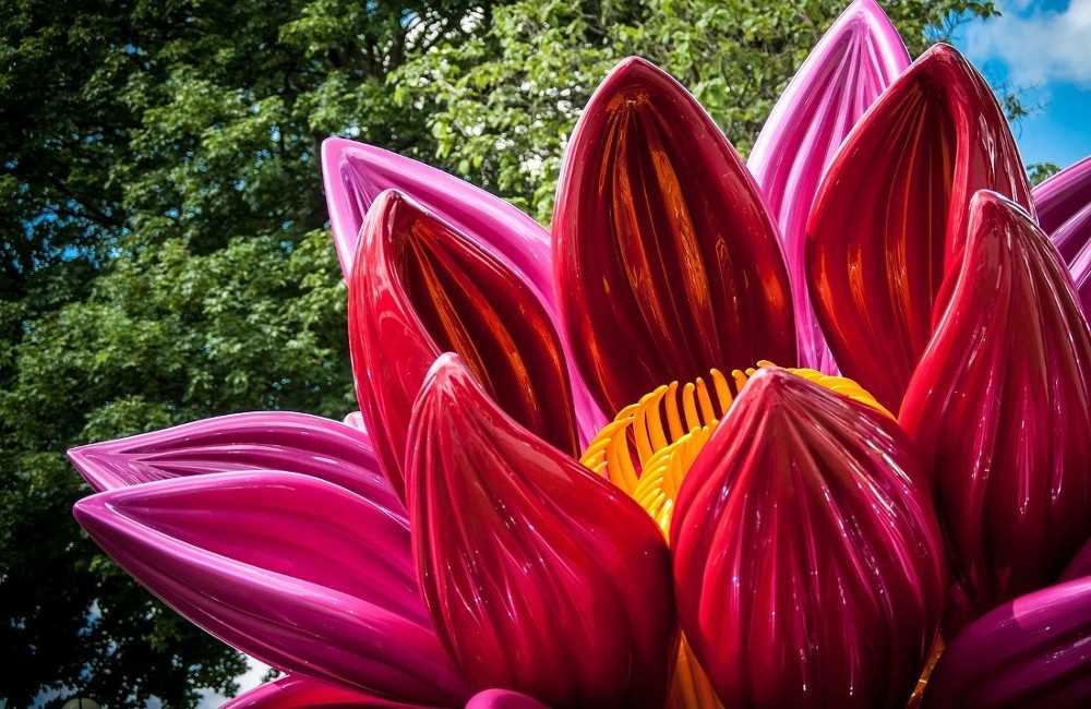  RHS Chelsea Flower Show 2024 