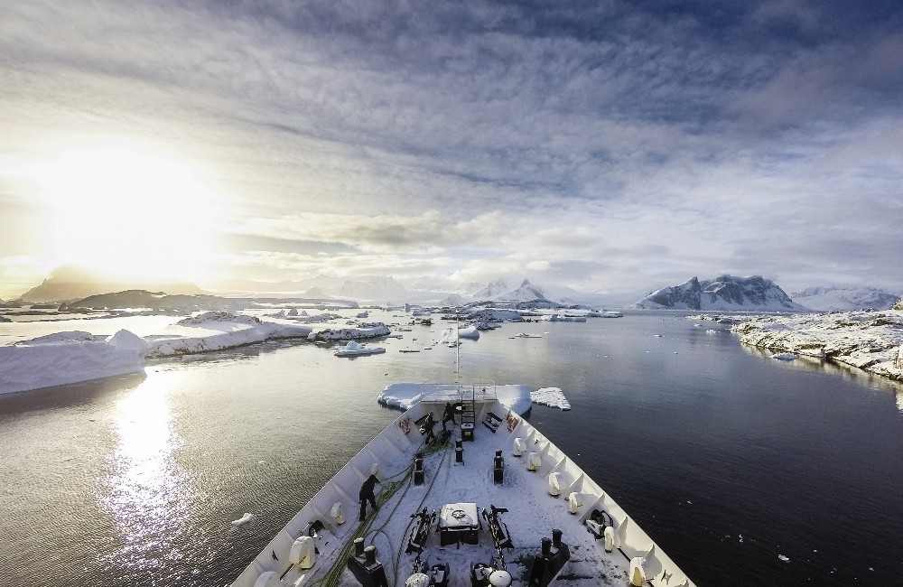 Best of Antarctica: Wildlife Explorer