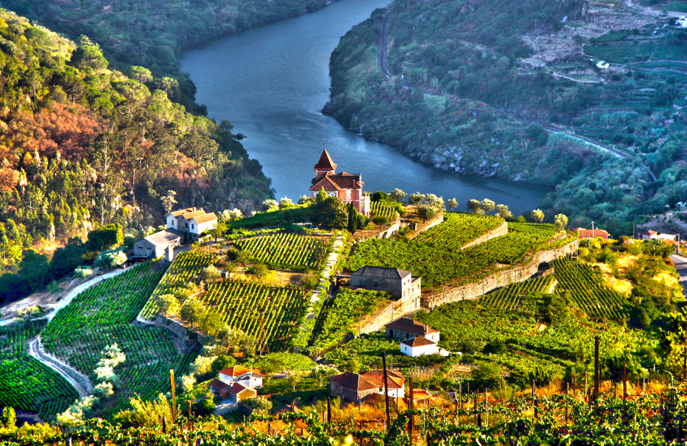  Douro Discovery River Cruise with Flights Included 
