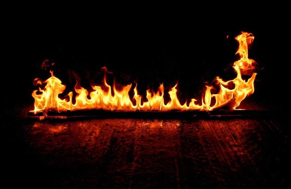  Flames of the Forest Dining Experience 