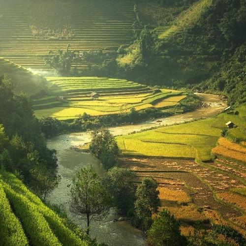Vietnam Family Trip!