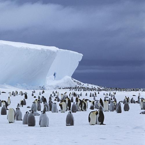 Antarctica