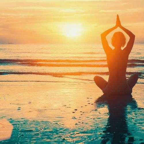 Wildlife & Wellness