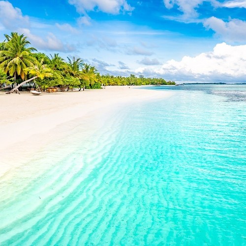 New! Barbados Direct