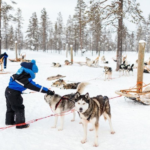 lapland trips from dublin