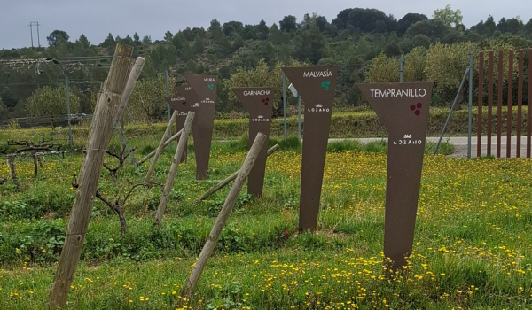 Clare's Basque Country Blog