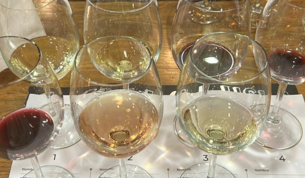 Clare's Basque Country Blog