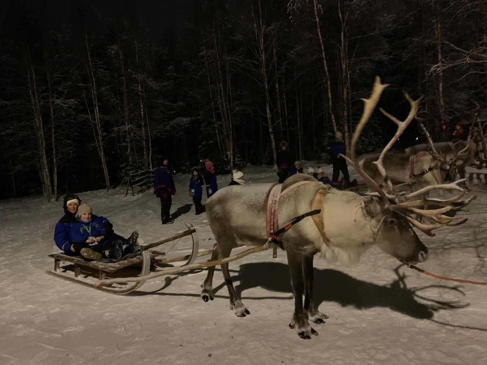 Lorraine Lapland Blog- niece on sled with reindeer