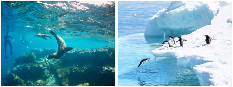 Blog: Experience Travel